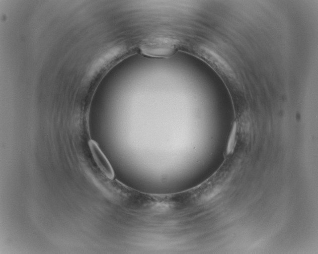 X0000088880352200706081247