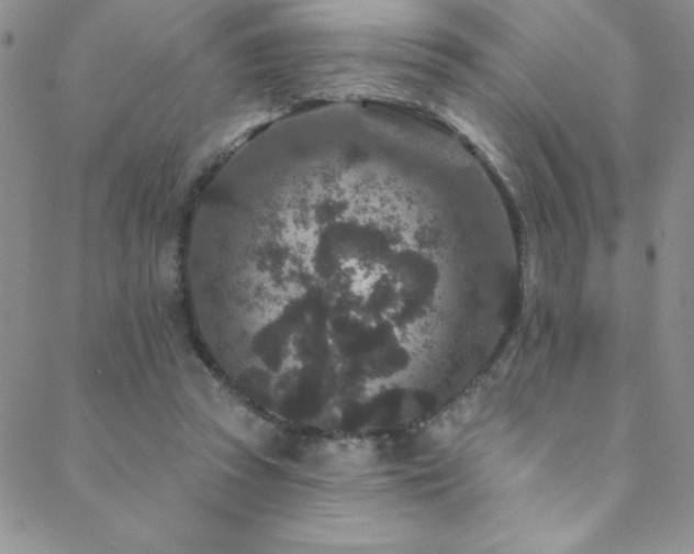 X0000088880353200706081247