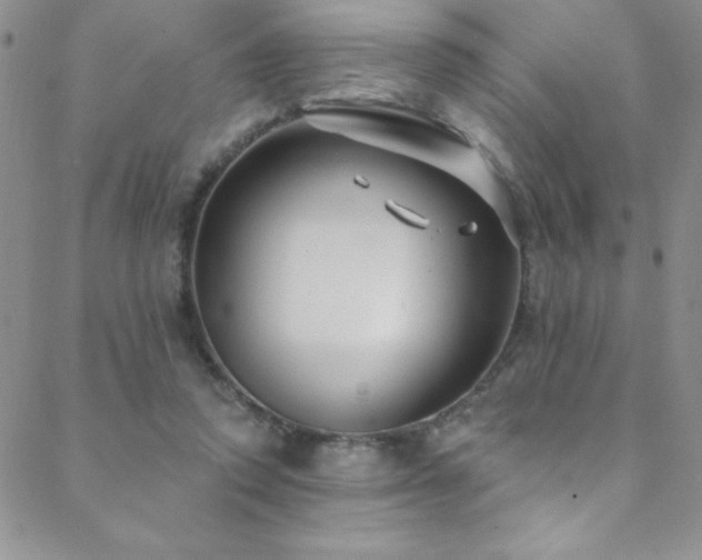 X0000088880354200706081247