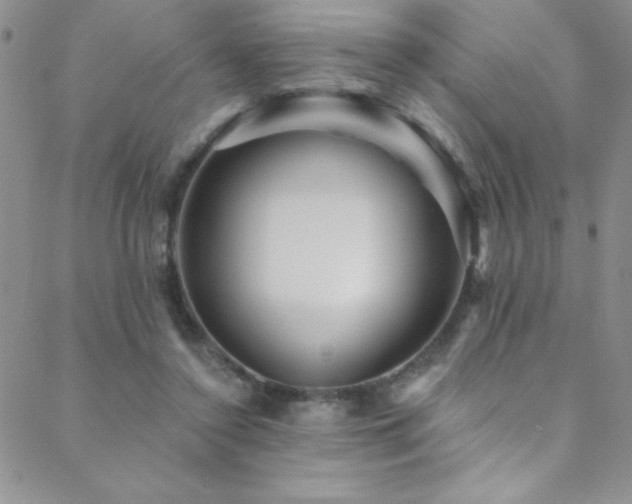 X0000088880356200706081247