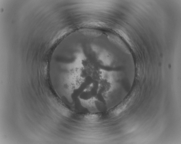 X0000088880357200706081247