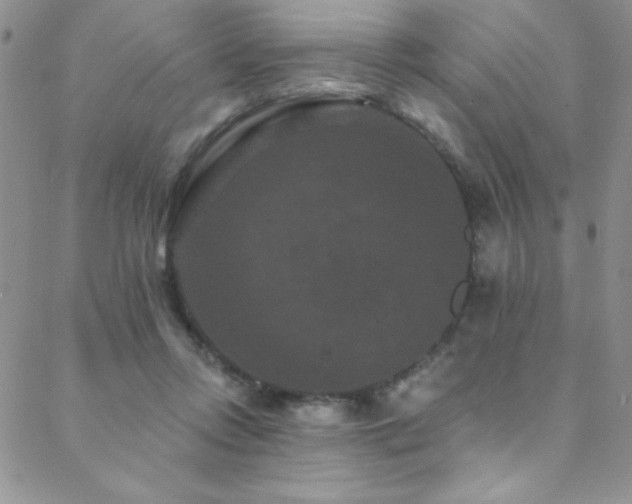 X0000088880358200706081247