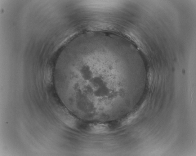 X0000088880359200706081247