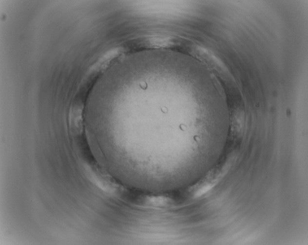 X0000088880360200706081247