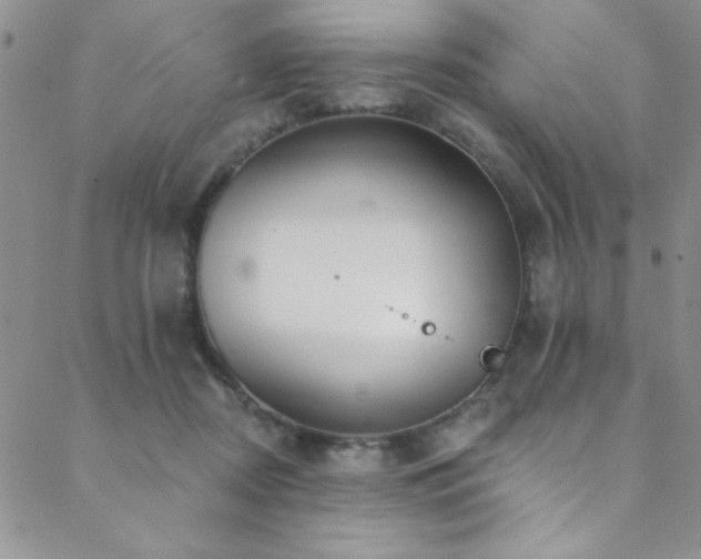 X0000088880362200706081247