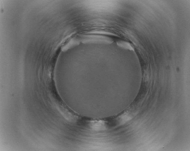 X0000088880363200706081247