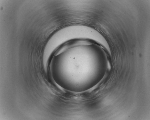 X0000088880364200706081247