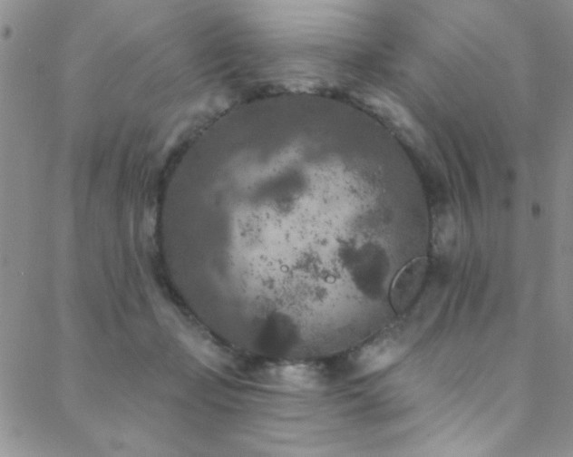 X0000088880365200706081247