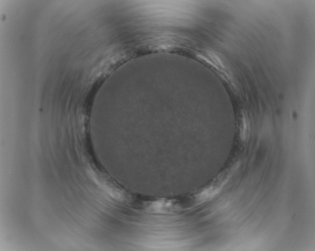 X0000088880366200706081247