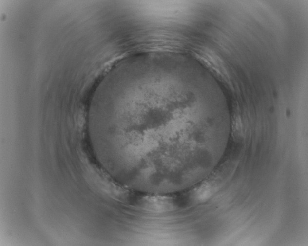 X0000088880367200706081247