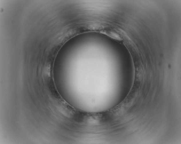 X0000088880368200706081247