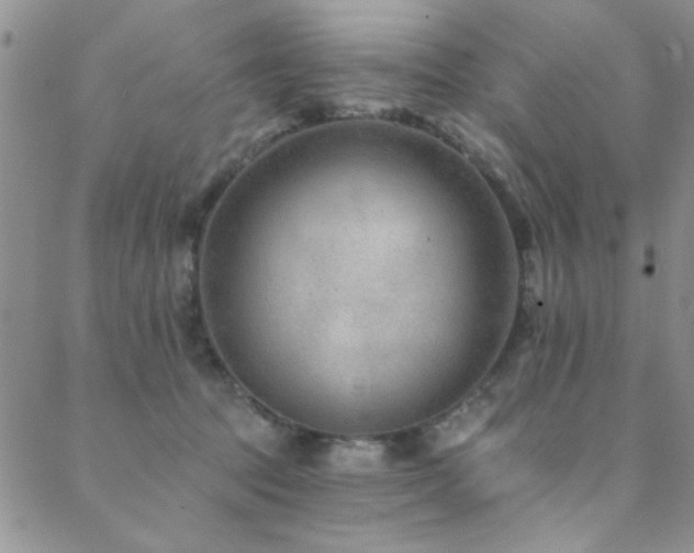 X0000088880369200706081247