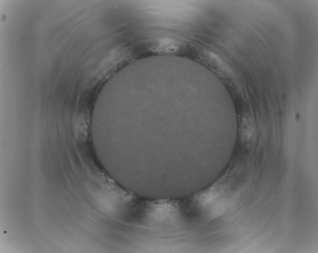 X0000088880370200706081247