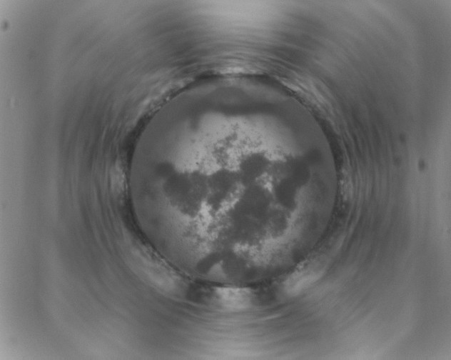 X0000088880371200706081247