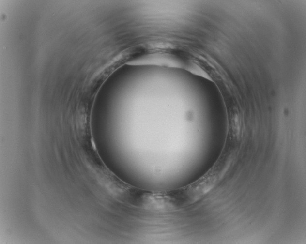 X0000088880372200706081247