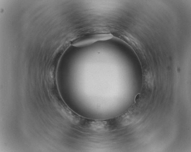 X0000088880373200706081247