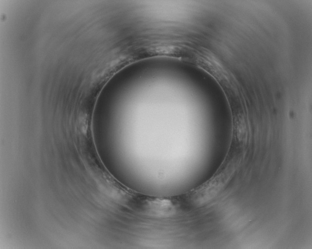 X0000088880374200706081247