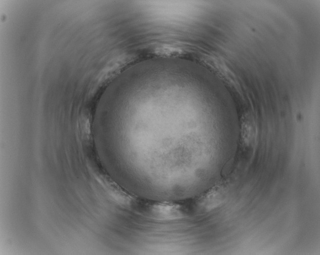 X0000088880375200706081247