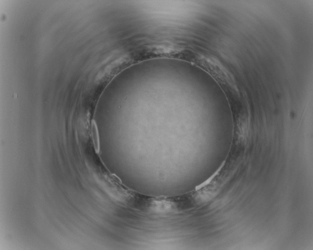 X0000088880376200706081247