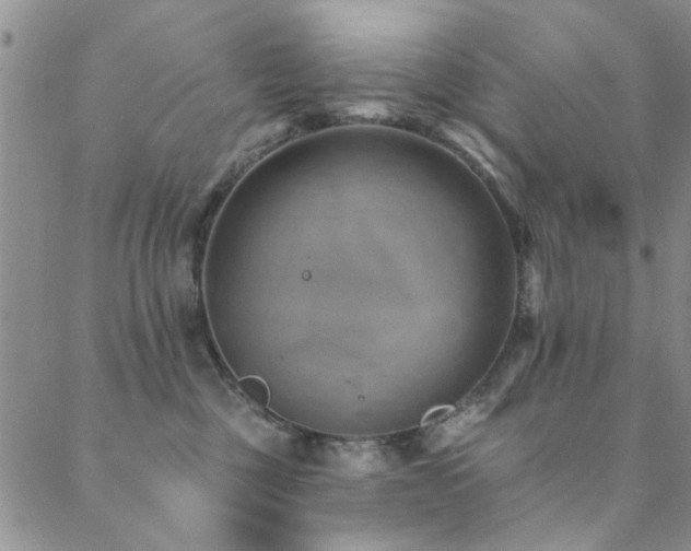 X0000088880377200706081247