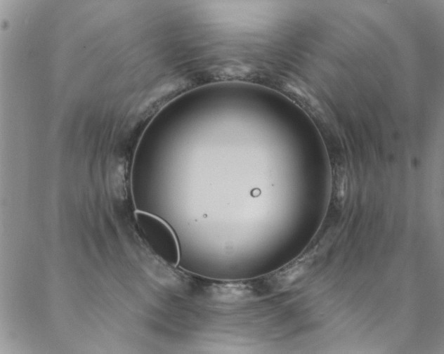 X0000088880378200706081247