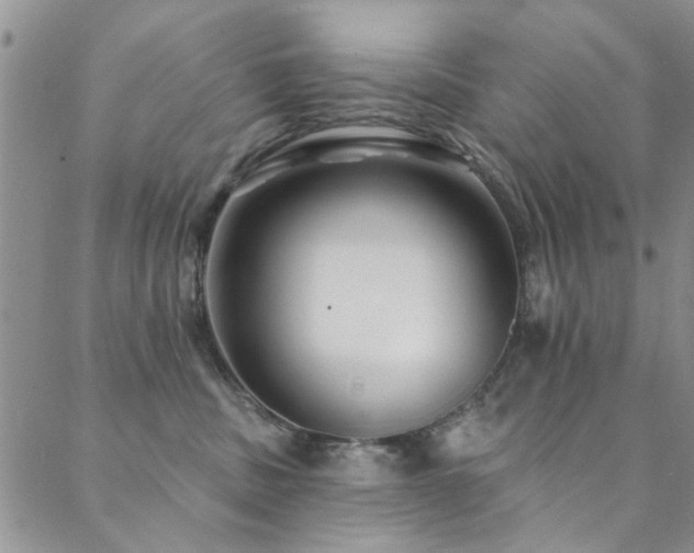 X0000088880379200706081247