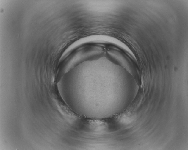 X0000088880380200706081247