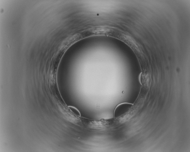 X0000088880381200706081247