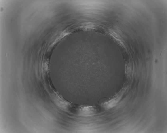 X0000088880382200706081247