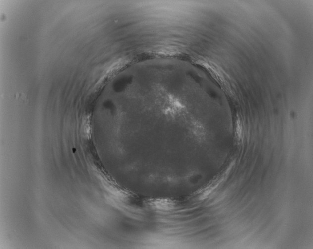 X0000088880383200706081247