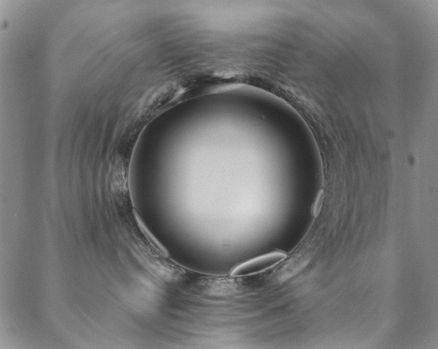 X0000088880384200706081247