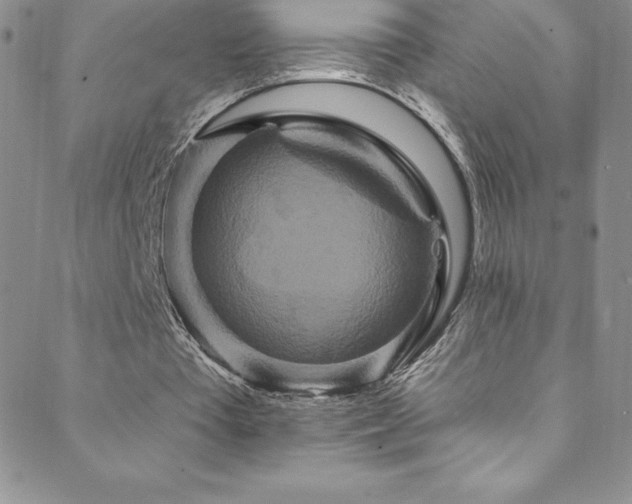 X0000088880385200706081246