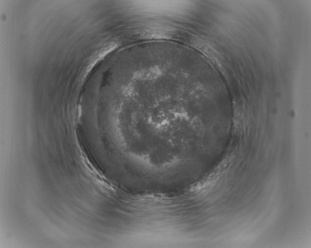 X0000088880386200706081246