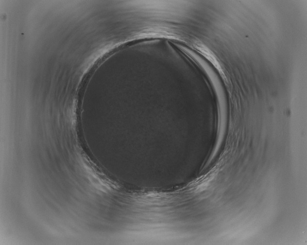 X0000088880387200706081246