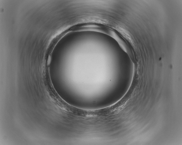 X0000088880388200706081246