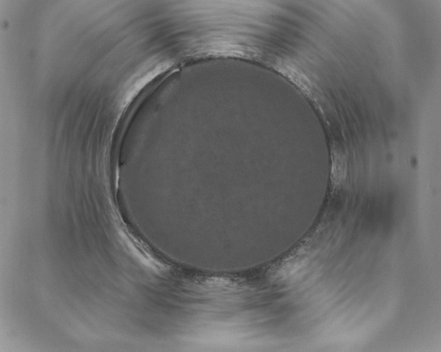 X0000088880390200706081246