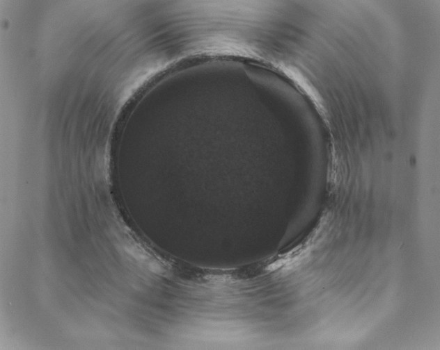 X0000088880391200706081246