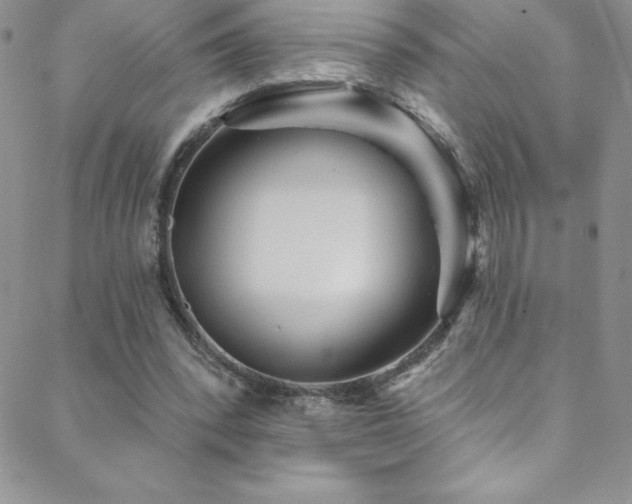 X0000088880392200706081246