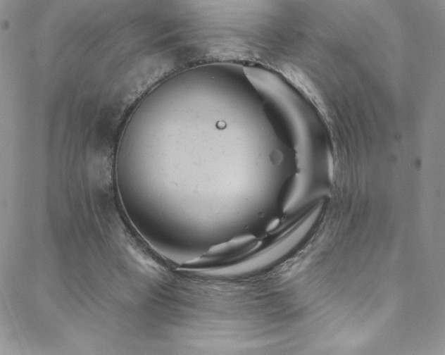 X0000088880393200706081246