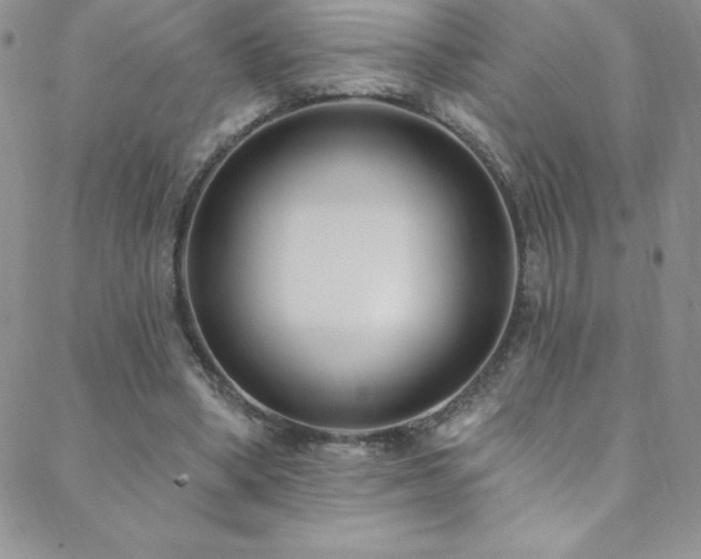 X0000088880394200706081246