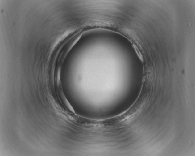 X0000088880395200706081246