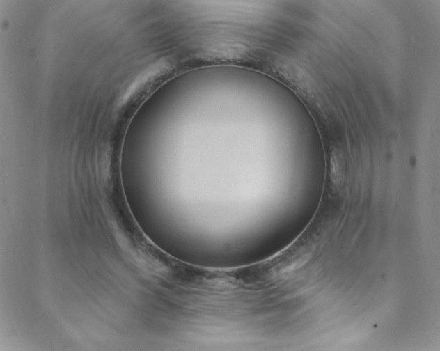 X0000088880396200706081246