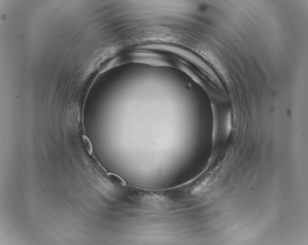 X0000088880397200706081246