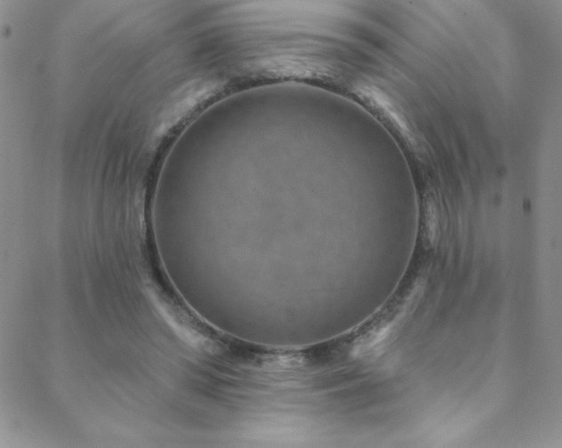 X0000088880398200706081246