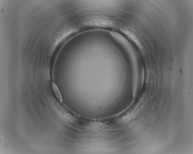 X0000088880399200706081246