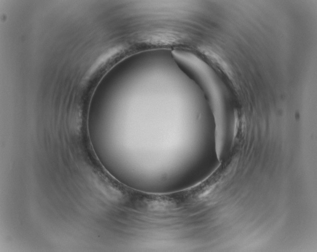 X0000088880400200706081246