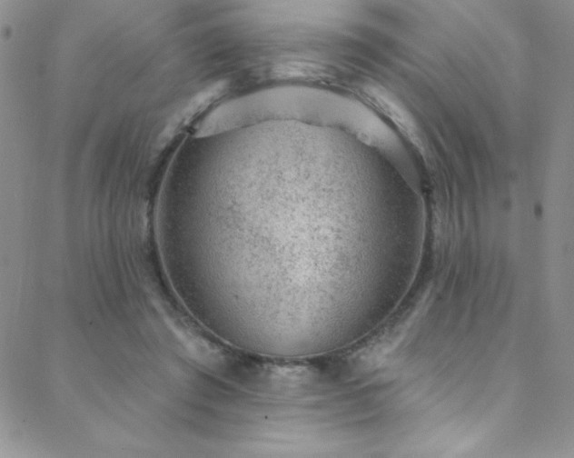 X0000088880401200706081246