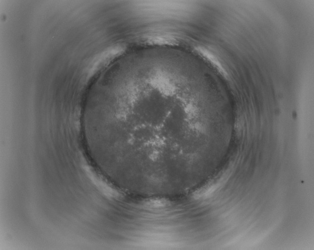 X0000088880402200706081246