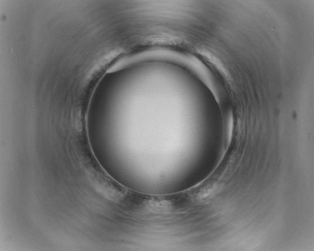 X0000088880403200706081246