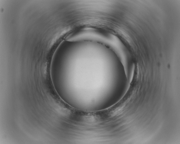 X0000088880404200706081246